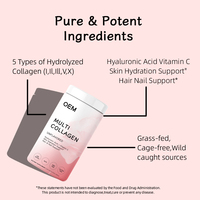 Greenpie OEM Vente en Gros Collagène Multi-saveurs Marque Privée Mélange de Peptides de Collagène de Poisson et de Bovin en Poudre à Boire