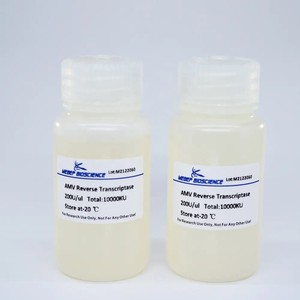 Tinzyme mmlv Reverse transcriptase nhiệt ổn định RNA-Phụ thuộc DNA polymerase vẫn 100% hoạt động ở 50 - Product Image 2