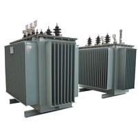 Transformateur de puissance triphasé immergé dans l'huile de 100 kVA, 200 kVA, 250 kVA, 315 kVA, 50/60 Hz, à deux enroulements