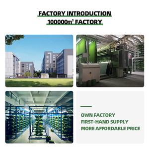 Màu xanh lá cây màu đỏ màu xanh đen màu vàng tím cam sân chơi cầu vồng theo dõi tổng hợp <span class=keywords><strong>Turf</strong></span> Thảm trẻ em cầu vồng cỏ nhân tạo - Product Image 3