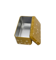 Boîte en fer blanc pour café Matcha et boîte en fer blanc pour stockage feuilles de thé poudre épices sucre métal conteneur hermétique organisateur cuisine