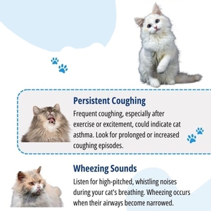 Mèo Immuno <span class=keywords><strong>deficiency</strong></span> virus kháng thể kiểm tra cho thú y mèo sử dụng - Product Image 3