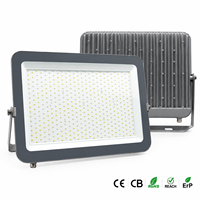 Lampu Sorot 10W-400W IP65 Tahan Air Penerangan Industri Luar Ruangan 6500K Daya Tinggi CE RoHS