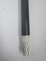 Cable de Servicio Industrial Triplex de Aluminio 1/2/4 AWG con Aislamiento XLPE, Clasificación IP66 para Minería, Construcción y Electrodomésticos