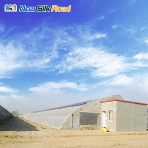 Kit de serre solaire <span class=keywords><strong>passive</strong></span> à portée unique en acier galvanisé de Chine, petite taille, système hydroponique, film PE, vente de plantes - Product Image 5