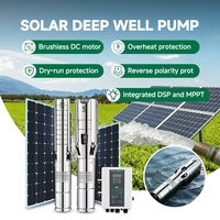 Pompe immergée DAYU 8 pouces avec moteur à fréquence variable classe H AC/DC pour irrigation agricole solaire