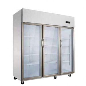 Ventilados de enfriamiento vertical congelador/burlete puerta congelador/doble/tres puertas de vidrio refrigerador - Product Image 5