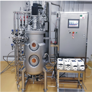 Cuve de Fermentation Automatique Personnalisée en Acier Inoxydable pour Photobioréacteur de Laboratoire pour Culture Cellulaire d'Algues à Haut Débit - Product Image 4