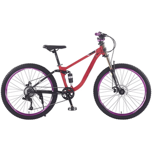 Bicicleta de Montaña de Acero de Alto Carbono con Doble Suspensión, 24/26 Pulgadas, 120 kg, 10 Velocidades, Cómoda, con Freno de Tambor - Product Image 1