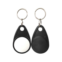 Vente en gros de porte-clés RFID NFC personnalisés 13,56 MHz en ABS avec logo, mini porte-clés vierges 125 kHz, fabrication de porte-clés