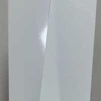Panneau en polystyrène optique à transmission lumineuse variable, mat, 1 mm, feuille diffuseur PS
