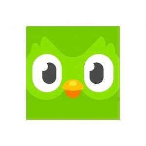 Cuenta Premium de Duolingo Pro, 1 Año, Aplicable Globalmente, Activa Tu Propia Cuenta - Product Image 4