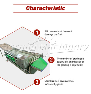 Trieuse de fruits à haute efficacité pour citrons, myrtilles, dattes, ail, avocats, tomates, pommes de terre, pommes - Product Image 3