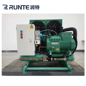 Industrial cold storage refrigeration accessories commercial freezer air-cooled mini Copeland compressor condensing units