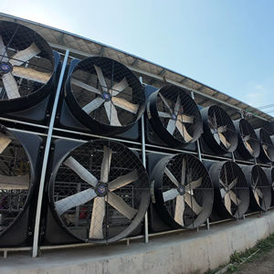 72 "Chicken House Abluft ventilator und Industrie ventilator mit Hoch leistungs lüftung für Geflügel-, Schweine-und Kuhfarmen - Product Image 1
