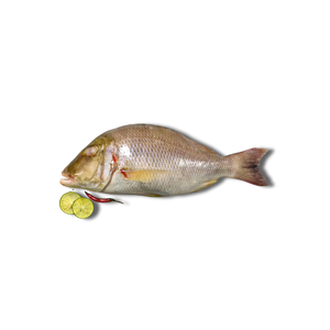 Poisson empereur entier congelé Emballage sous vide en vrac IQF de haute qualité Vente en gros Vietnam Fruits de mer Exportation Prix compétitif - Product Image 1
