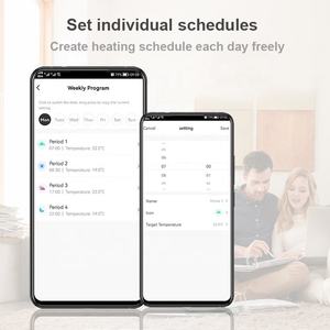 <span class=keywords><strong>Thermostat</strong></span> <span class=keywords><strong>filaire</strong></span> de chaudière à <span class=keywords><strong>gaz</strong></span> de batterie en gros d'usine - Product Image 5