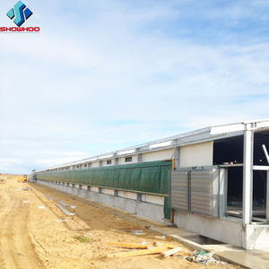 Lage Prijs Ontwerp Prefab Staal Vleeskuikens Gevogelte Farm Shed Huis Voor 10000 Kippen - Product Image 6