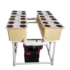 Complete <strong>Hydroponic</strong> Dutch Bucket with Automatic Irrigation and Pump for Tomato <strong>Pepper</strong> and Cucumber Cultivation - Product Image 3
