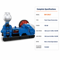 Pompe à boue à mouvement alternatif BW1200/7 |   Pompe à boue de forage 1200 L/min 7,0 MPa à double vitesse pour le forage de puits et le coulage