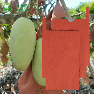 Taiwan Mango Fruit Protective Paper Bag In Thailand Taiwan Mango Fruit Protective Paper Bag In Thailand