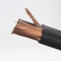 2 core 0.6/1kv kupfer kabel mit neutral abgeschirmt