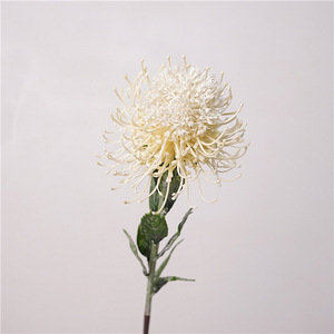 Fatto a mano naturale Protea fiore testa singola 12CM di diametro per la laurea di nozze natale e capodanno cinese - Product Image 6