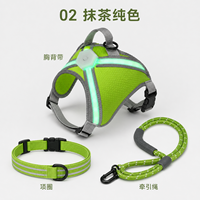 Qcool Harnais, collier et laisse pour chien en nylon LED rechargeable, ensemble de sécurité pour la promenade en extérieur, emballage de détail B2B personnalisé, fournitures pour animaux de compagnie