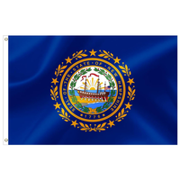 Drapeaux de l'État du Mississippi 3x5FT en polyester avec œillets métalliques pour fêtes, défilés, événements sportifs, décorations extérieures