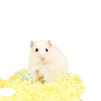Alas Kertas Hewan Kecil Warna-Warni Bebas Debu Super Serap untuk Hamster Gerbil Guinea Pig Chinchilla