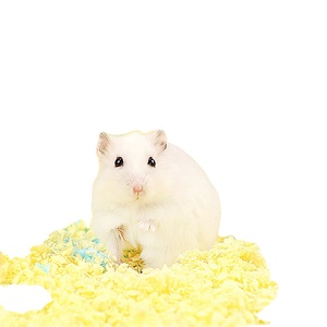 Cama de Papel para Animales Pequeños, Colorida, Libre de Polvo, Súper Absorbente, para Hámster, Gerbil, Conejillo de Indias, Chinchilla - Product Image 6