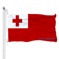 Drapeau de Samoa 3x5 durable pour équipe sportive, bannière décorative murale intérieure, compatible avec les mât de drapeau pour l'extérieur de la maison