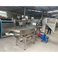 Machine à casser les noix d'argan au prix d'usine, machine à casser les noix d'argan, machine de criblage