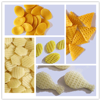Extrudeuse entièrement automatique, petite machine de fabrication de snacks, pani