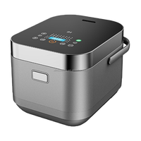 Cuiseur électrique multifonctionnel OEM et ODM Nouveau cuiseur à riz automatique avec tasse à mesurer Appareil ménager rapide pour la cuisine