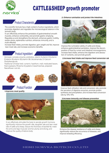 Mangimi per bovini premiscele vitamina ingrasso bovini ovini integratori di bestiame per la capra vitamine per l'alimentazione delle pecore - Product Image 3