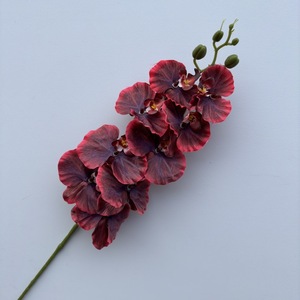 Offre Spéciale : Orchidées Artificielles Réalistes en Soie Blanche Faites à la Main – Tiges de Fleurs pour Mariage, <span class=keywords><strong>D</strong></span>écoration Maison et Fête des Mères - Product Image 5