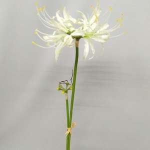 زهور زنبق العنكبوت الاصطناعية بالجملة لتزيين طاولات المنزل، زهور حريرية اصطناعية للديكور - Product Image 3