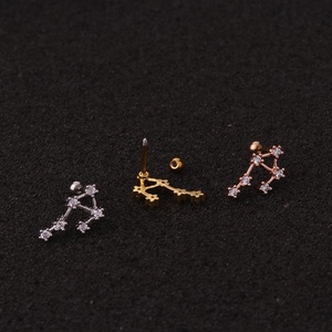 Großhandel Schmuck Niedlichen Edelstahl Ohr Piercing <span class=keywords><strong>Stud</strong></span> CZ Zwölf Knorpel Helix Rook Lobe Screw Back Ohrring - Product Image 3