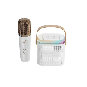 Y1 Micrófonos duales inalámbricos Máquina de karaoke KTV Sistema DSP BT 5,3 PA Altavoz HIFI Estéreo Surround RGB Luz LED colorida - Product Image 1