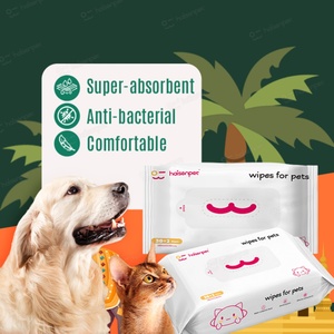 Lingettes nettoyantes pour animaux de compagnie Haisen Factory, design personnalisé, contrôle des odeurs, portables, efficaces et adaptées aux voyages - Product Image 1