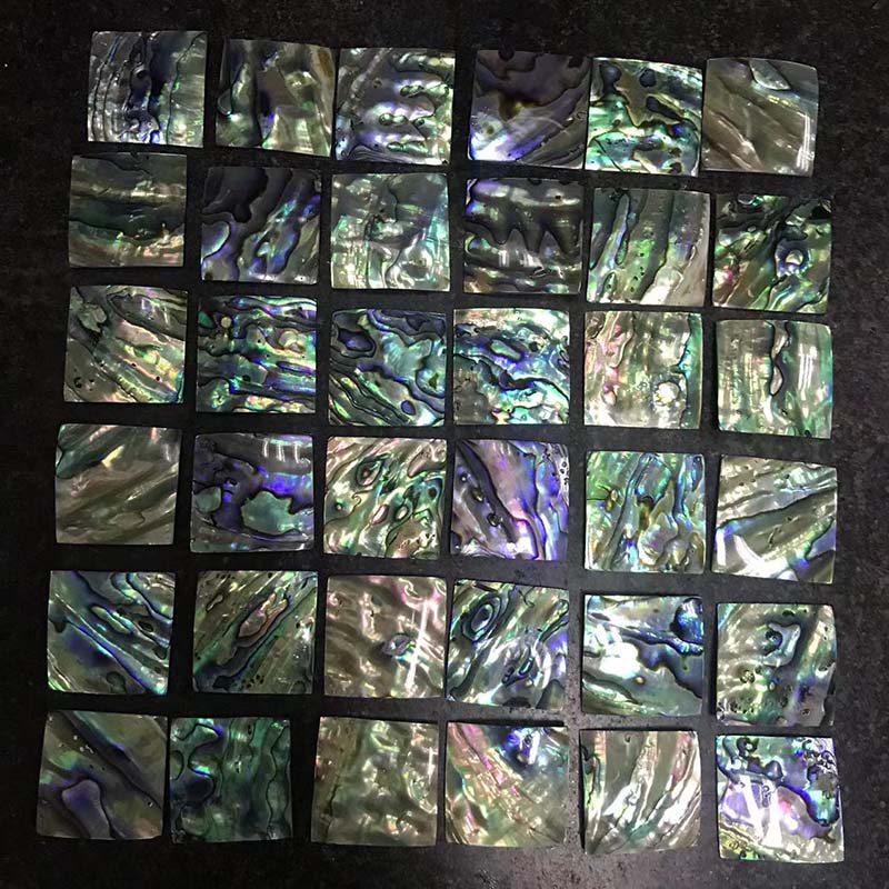 abalone shell