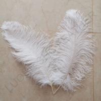 Hot Sale 70-75 cm Bunte Big Pole White Straußen flügel feder für Party Hochzeit Bühnen kleider Bühnen dekoration