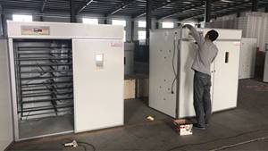D'économie d'énergie <span class=keywords><strong>5000</strong></span> poulet oeuf incubateur <span class=keywords><strong>prix</strong></span> pour vente HJ-I18 incubateur oeuf machine à couver - Product Image 5