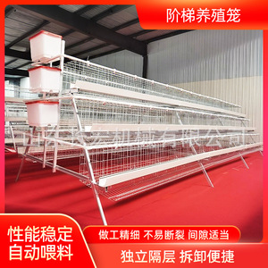 Nueva Jaula Automática de Malla de Alambre Tipo A para Gallinas Ponedoras en Avicultura - Product Image 5