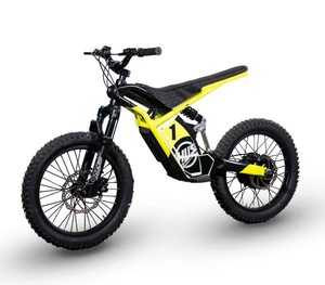<span class=keywords><strong>Vélo</strong></span> <span class=keywords><strong>électrique</strong></span> pour enfants de haute qualité avec pneus tout-terrain de 20 pouces, moteur puissant 48V 1500W et batterie 13Ah - Product Image 1