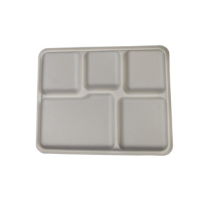 Plateau alimentaire jetable à <span class=keywords><strong>5</strong></span> compartiments en pulpe <span class=keywords><strong>de</strong></span> canne à sucre, biodégradable et écologique, pour le marché des grossistes, <span class=keywords><strong>de</strong></span> bonne qualité - Product Image 4
