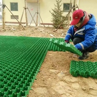 Grille de pavé d'herbe en plastique HDPE noir vert blanc couleur plantation de nid d'abeille extérieure pour parking d'allée