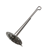 Elemen Pemanas Celup Flange Tabung Pemanas Baja Tahan Karat dengan Anoda Magnesium & Thermowell 220-240V
