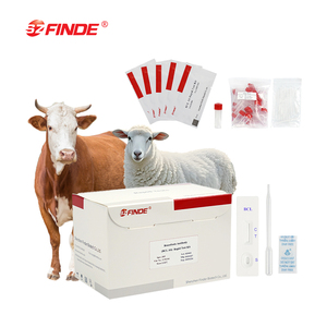 ชุดตรวจแอนติบอดีบรูเซลล์สำหรับวัวและแกะแบบรวดเร็ว - Product Image 1